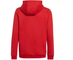 Adidas Entrada 22 Hoody Jr. Džemperis H57566