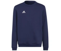 Adidas Entrada 22 Hoody Jr Džemperis H57568