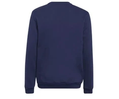 Adidas Entrada 22 Hoody Jr Džemperis H57568