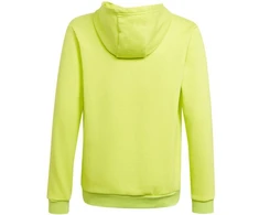 Adidas Entrada 22 Hoody Jr HC5069 džemperis