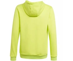 Adidas Entrada 22 Hoody Jr HC5069 džemperis