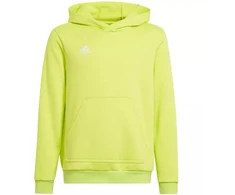 Adidas Entrada 22 Hoody Jr HC5069 džemperis