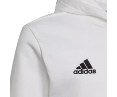 Adidas Entrada 22 Hoody Jr HG6303 džemperis