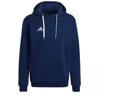 Adidas Entrada 22 Hoody M H57513 džemperis