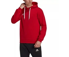 Adidas Entrada 22 Hoody M H57514 džemperis