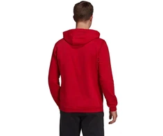 Adidas Entrada 22 Hoody M H57514 džemperis