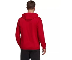 Adidas Entrada 22 Hoody M H57514 džemperis