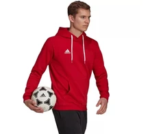Adidas Entrada 22 Hoody M H57514 džemperis