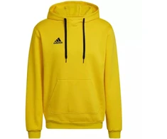 Adidas Entrada 22 Hoody M HI2140 džemperis