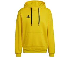 Adidas Entrada 22 Hoody M HI2140 džemperis