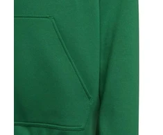 Adidas Entrada 22 Hoody Y Jr. džemperis HI2143