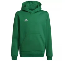 Adidas Entrada 22 Hoody Y Jr. džemperis HI2143