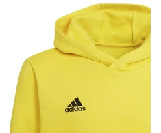 Adidas Entrada 22 Hoody Y Jr džemperis HI2142