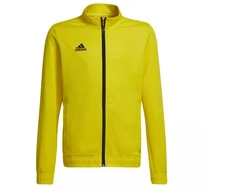Adidas Entrada 22 jaunimo džemperis HI2139