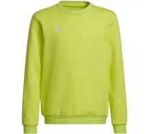 Adidas Entrada 22 Jaunių Prakaito Palaidinė HC5043