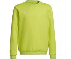 Adidas Entrada 22 Jaunių Prakaito Palaidinė HC5043