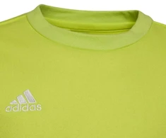Adidas Entrada 22 Jaunių Prakaito Palaidinė HC5043