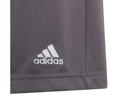 Adidas Entrada 22 Jr H57507 šortai