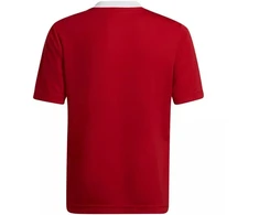 Adidas Entrada 22 Jsy Jr Marškinėliai H57496