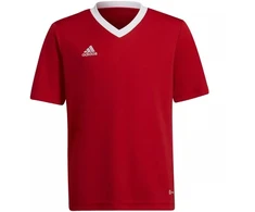 Adidas Entrada 22 Jsy Jr Marškinėliai H57496