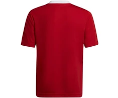 Adidas Entrada 22 Jsy Jr Marškinėliai H57496