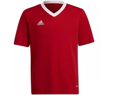 Adidas Entrada 22 Jsy Jr Marškinėliai H57496