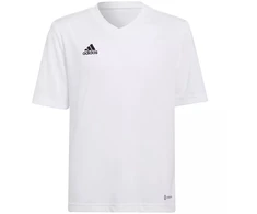 Adidas Entrada 22 Jsy Jr Marškinėliai HC5054