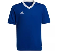 Adidas Entrada 22 Jsy Jr Marškinėliai HG3948