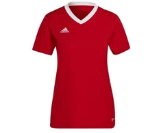 Adidas Entrada 22 Jsy W marškinėli H57571