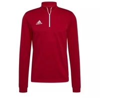 Adidas Entrada 22 M džemperis H57556