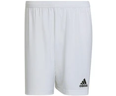 Adidas Entrada 22 M HG6295 šortai