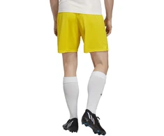adidas Entrada 22 M IC7404 šortai