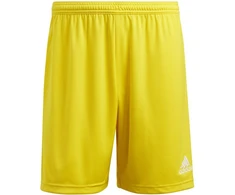 adidas Entrada 22 M IC7404 šortai