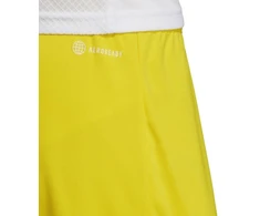 adidas Entrada 22 M IC7404 šortai