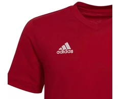 adidas Entrada 22 marškinėliai Jr HC0446