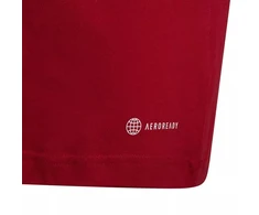 adidas Entrada 22 marškinėliai Jr HC0446