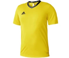adidas Entrada 22 marškinėliai Jr HI2127