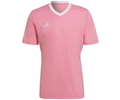 Adidas Entrada 22 marškinėliai M HC5072