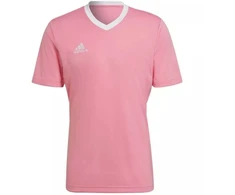 Adidas Entrada 22 marškinėliai M HC5072