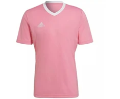 Adidas Entrada 22 marškinėliai M HC5072