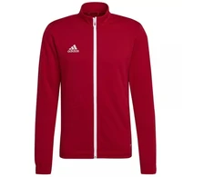 Adidas Entrada 22 sportinis džemperis vyrams M H57537