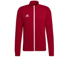 Adidas Entrada 22 sportinis džemperis vyrams M H57537