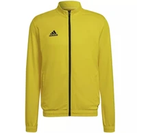 Adidas Entrada 22 sportinis džemperis vyrams M HI2134