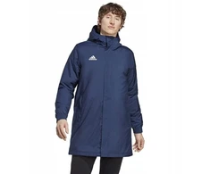 Adidas Entrada 22 Stadioninis švarkas M IB6077