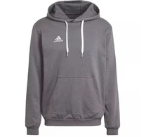 Adidas Entrada 22 Sweat M HB0578 džemperis