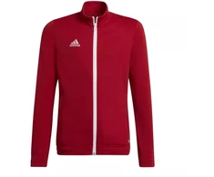 Adidas Entrada 22 Track Jr H57563 džemperis