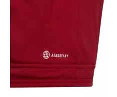 Adidas Entrada 22 Track Jr H57563 džemperis
