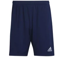 Adidas Entrada 22 treniruočių šortai M H57488