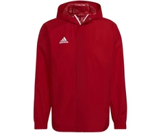 Adidas Entrada 22 Visiems Orams Striukė Vyrams IK4009