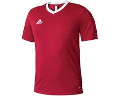 Adidas Entrada 22 vyriški marškinėliai H61736